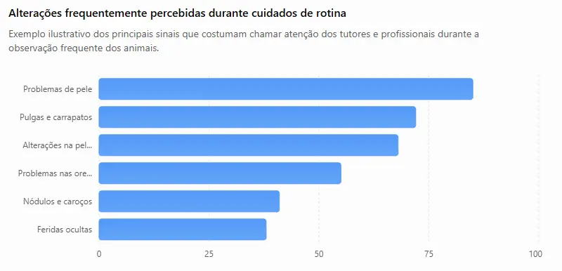 O Que um Banho Pode Revelar Sobre a Saúde do Seu Pet